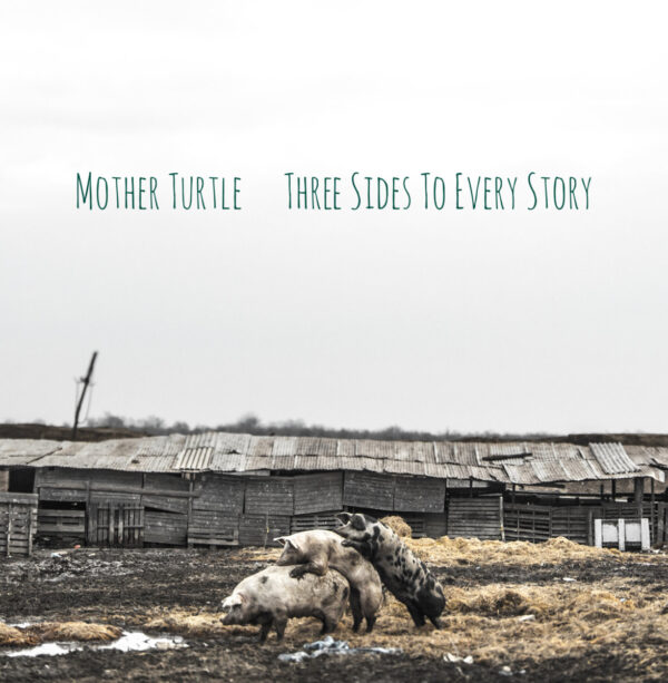 Mother Turtle - Three Sides To Every Story (LP)