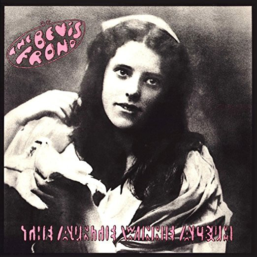 The Bevis Frond - The Auntie Winnie Album (2LP Pink)
