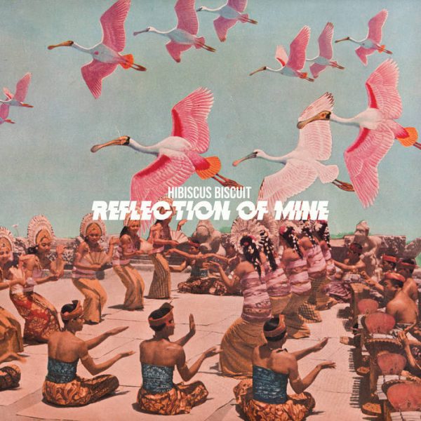 Hibiscus Biscuit - Reflection Of Mine (LP)