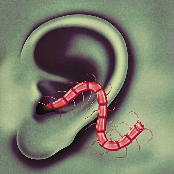 Thee Oh Sees - An Odd Entrances (LP)
