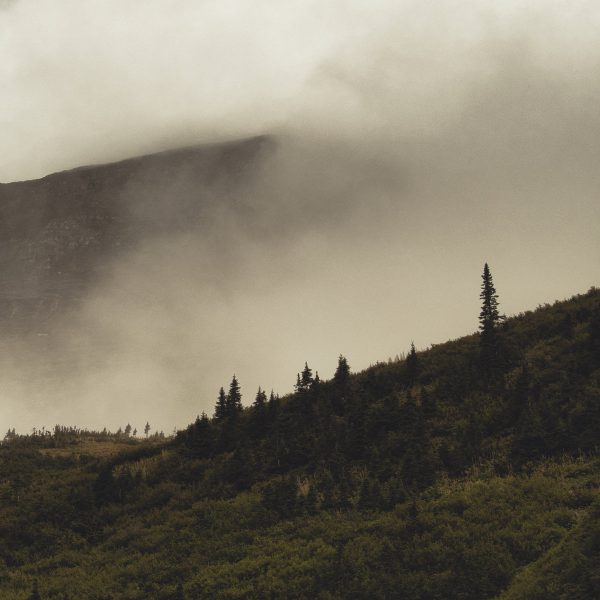 Lord Buffalo - Tohu Wa Bohu (LP Oxblood Red)