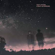 Vinyl Suicide - Stray Asteroids (LP)