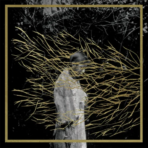 Forest Swords - Engravings (2LP Night Smoke Marble)