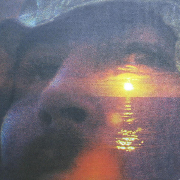 David Crosby - If I Could Only Remember My Name-50th Anniv. (LP 2021 Reissue)