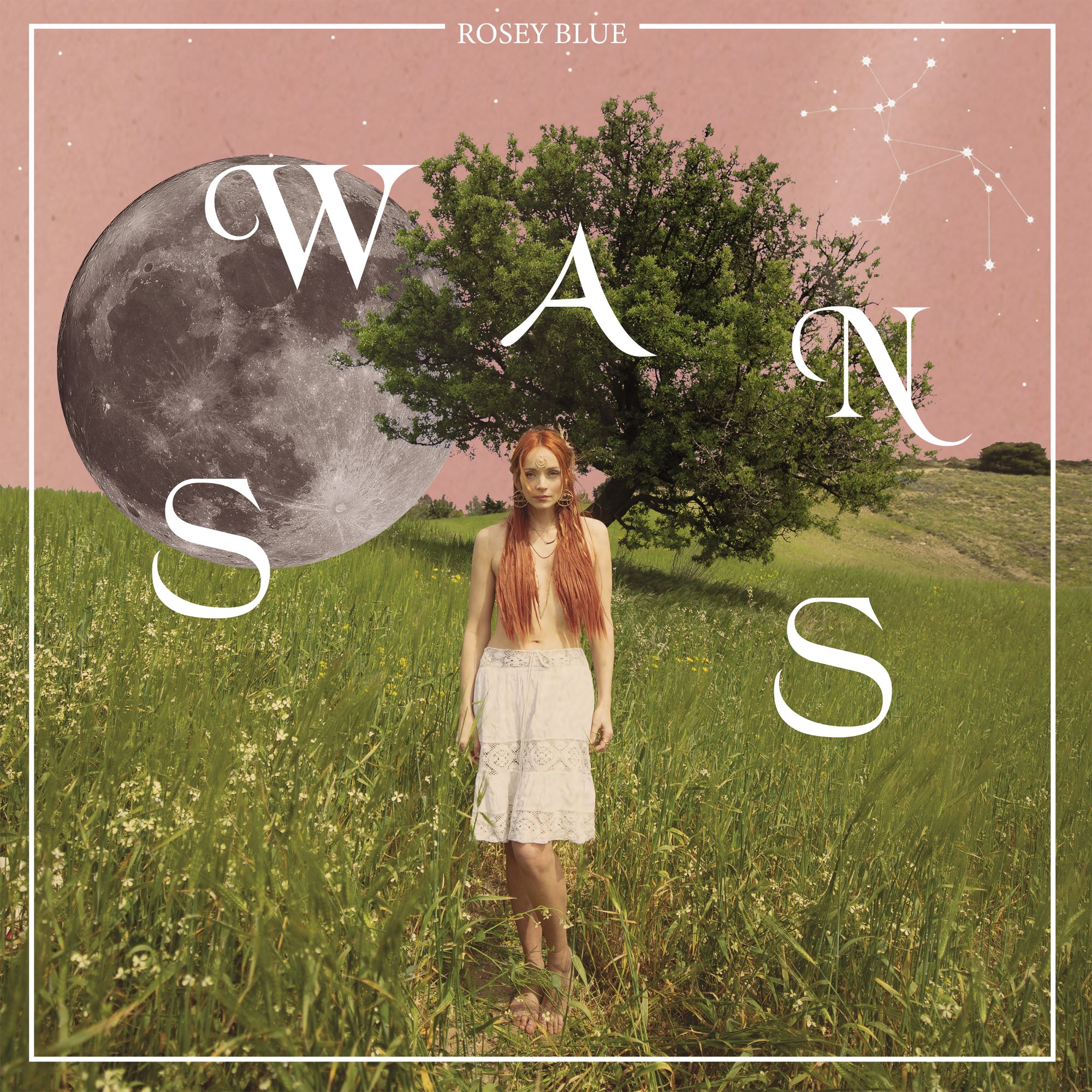 Rosey Blue - Swans (LP) — Coma Records