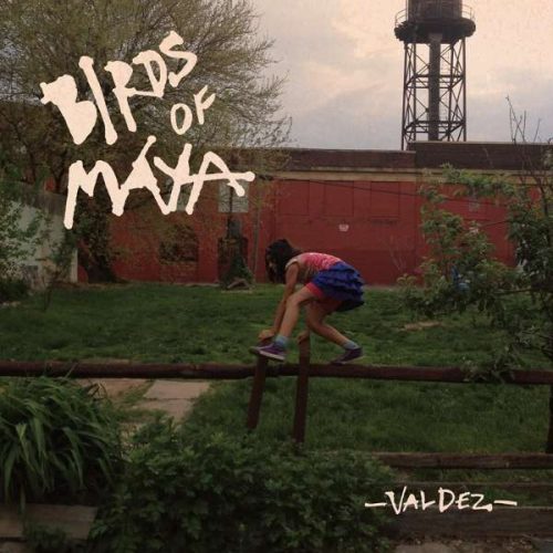 Birds of Maya - Valdez (LP)