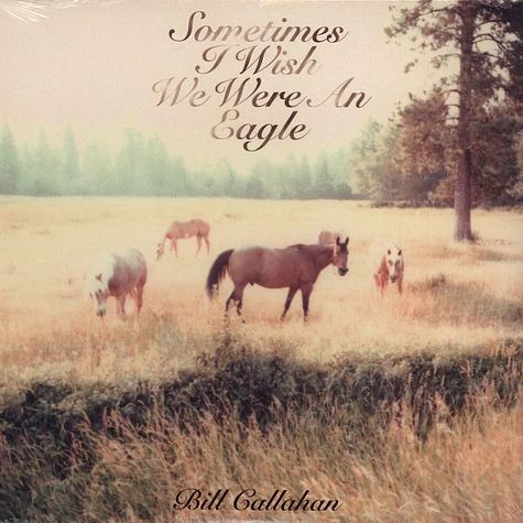 Bill Callahan - Sometimes I Wish We Were An Eagle (LP)