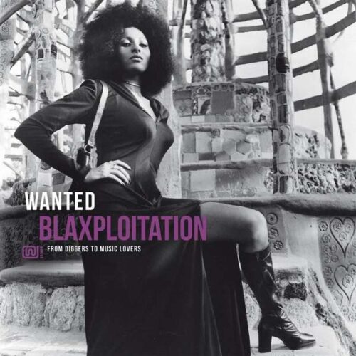 Various Artists - Wanted Blaxploitation (LP)