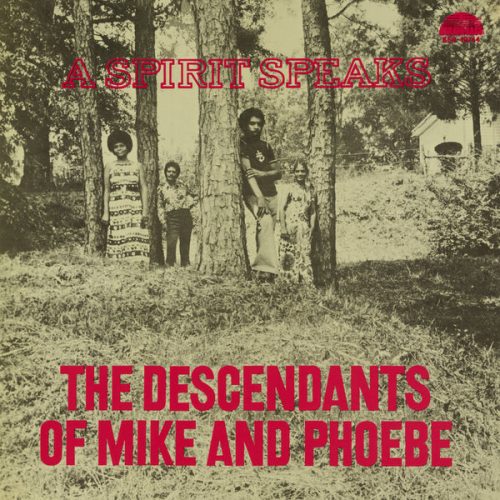 The Descendants Of Mike And Phoebe - A Spirit Speaks (LP)