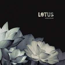 Vasilis Dokakis - Lotus (LP Color)