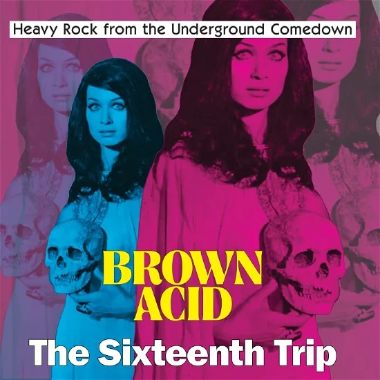 Various - Brown Acid: The 16th Trip (LP)