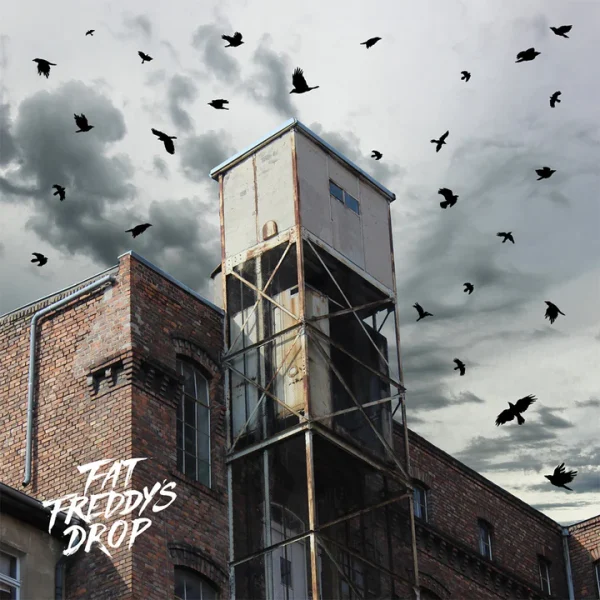 Fat Freddy's Drop - Blackbird Returns (2LP)