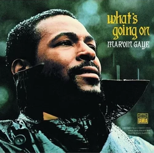 Marvin Gaye - What's Going On (LP)