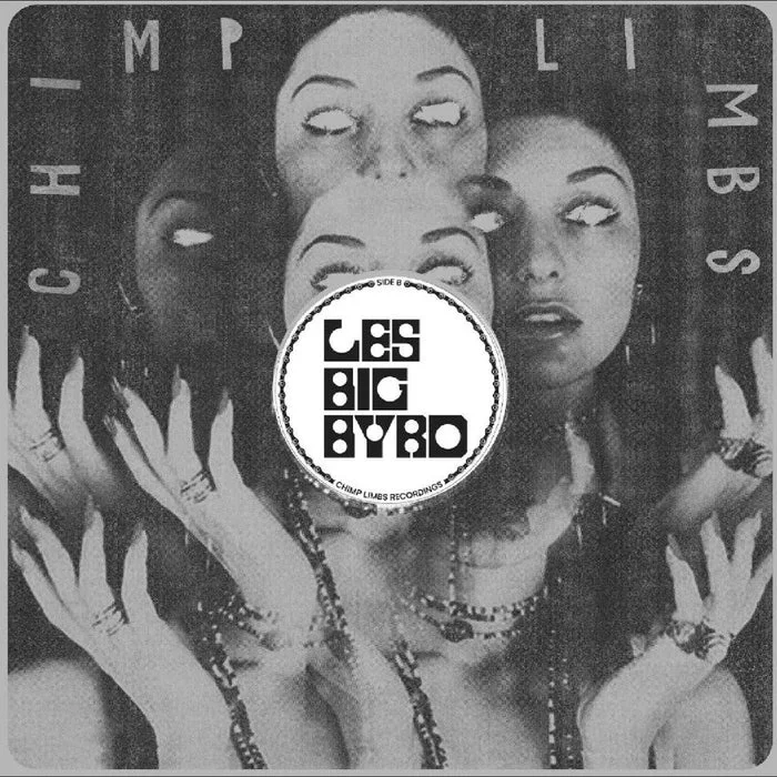 Les Big Byrd - Remixes, Rarieties & Unreleased (LP Orange) — Coma Records