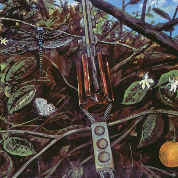Dragonfly - Dragonfly (LP)
