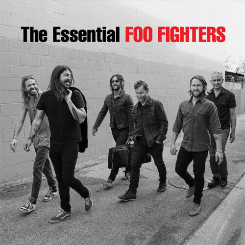 Foo Fighters - The Essential (2LP)