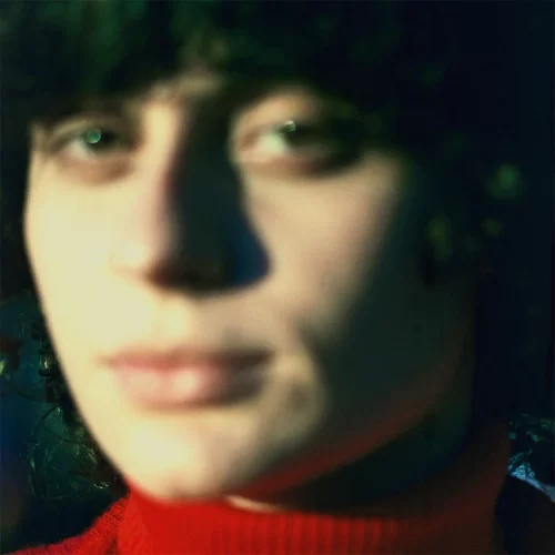 Ana Frango Eletrico - Little Electric Chicken Heart (LP Transparent Blue)