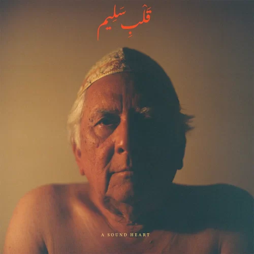 Jaubi - A Sound Heart (2LP)