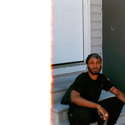 Jpegmafia - Veteran (LP Clear)