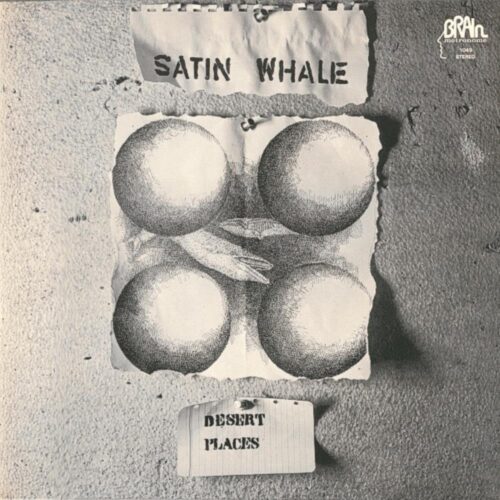 Satin Whale - Desert Places (LP)