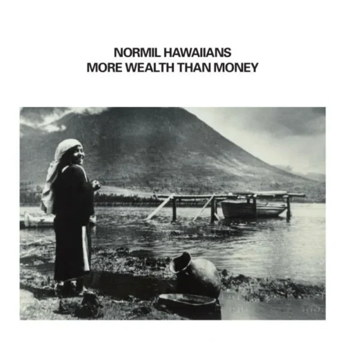 Normil Hawaiians - More Wealth Than Money (2LP)