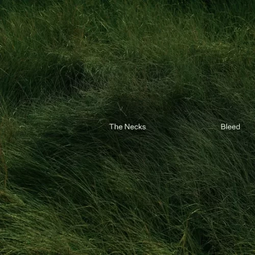 The Necks - Bleed (LP Obi)