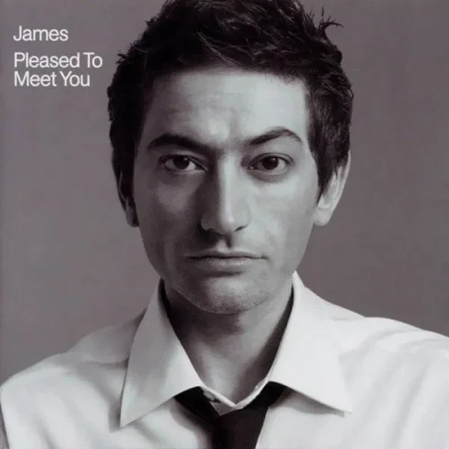 James - Pleased To Meet You (2LP)