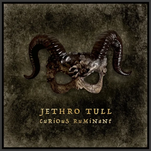 Jethro Tull - Curious Ruminant (LP)