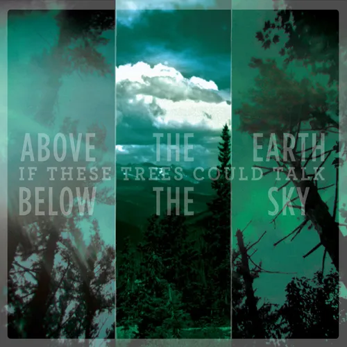 If These Trees Could Talk - Above the Earth, Below the Sky (LP)