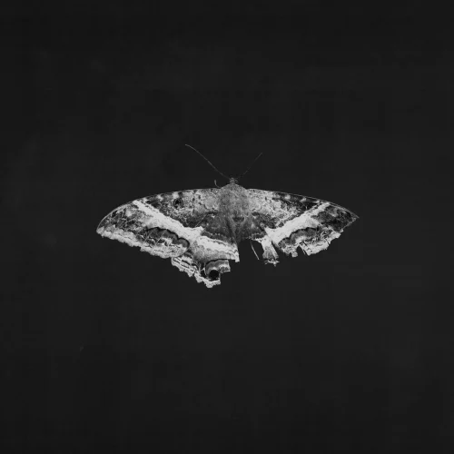 Kendrick Lamar - To Pimp A Butterfly [10th Anniv. Alternate Artwork] (2LP)