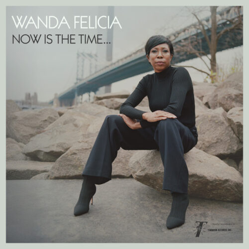 Wanda Felicia & Cold Diamond & Mink - Now Is The Time (LP Pink)