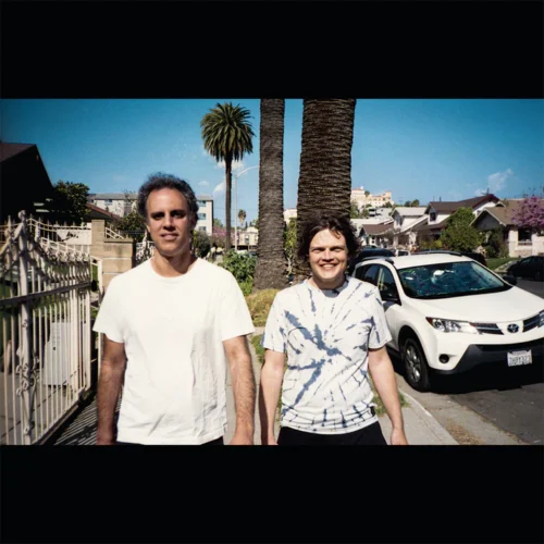 Kieran Hebden & William Tyler - 41 Longfield Street Late 80s (LP)