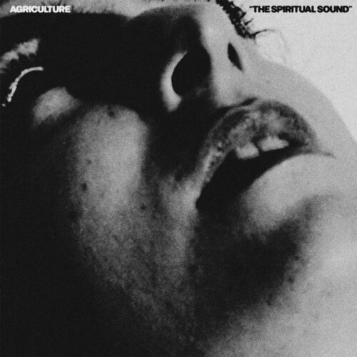 Agriculture - The Spiritual Sound (LP Lemon Yellow)