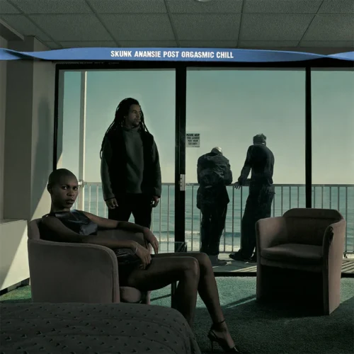Skunk Anansie - Post Orgasmic Chill (LP Turquoise)