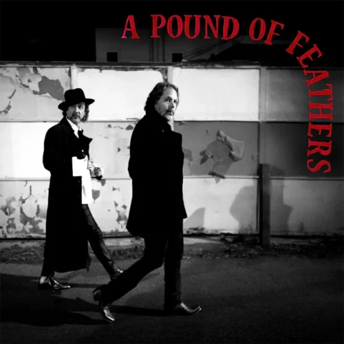 The Black Crowes - A Pound Of Feathers (LP)
