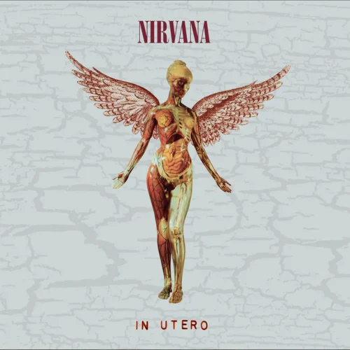 Nirvana - In Utero [30th Anniversary Super Deluxe Edition] (8LP Box Set)