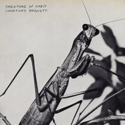 Courtney Barnett - Creature Of Habit (LP Caramel)
