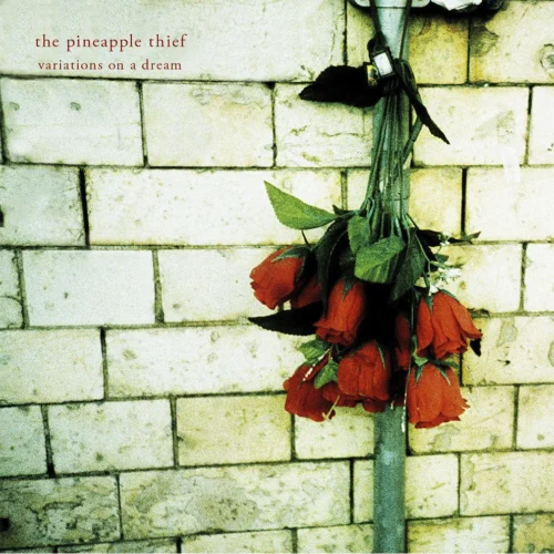 The Pineapple Thief - Variations On A Dream (LP)
