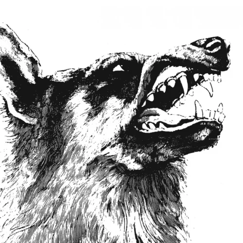 Crippled Black Phoenix - I, Vigilante (LP)