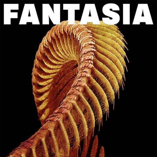 Slift - Fantasia (LP Sparkle Sunlight)