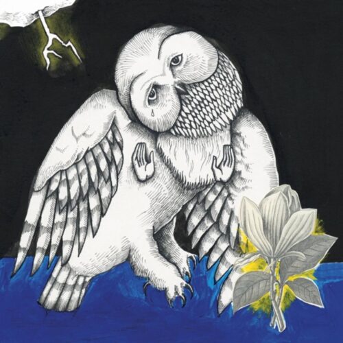 Songs: Ohia - The Magnolia Electric Co. (2LP)