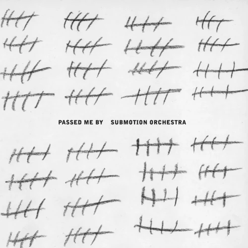 Submotion Orchestra - Passed Me By (LP White)