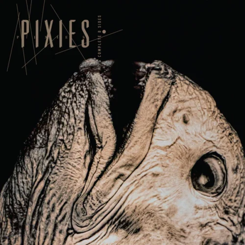 Pixies - Complete B Sides: 1988-97 (2LP)
