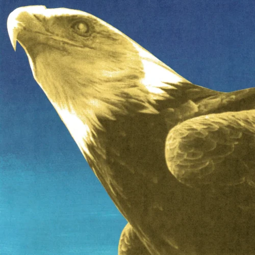 Protomartyr - Hotel Usona (LP)