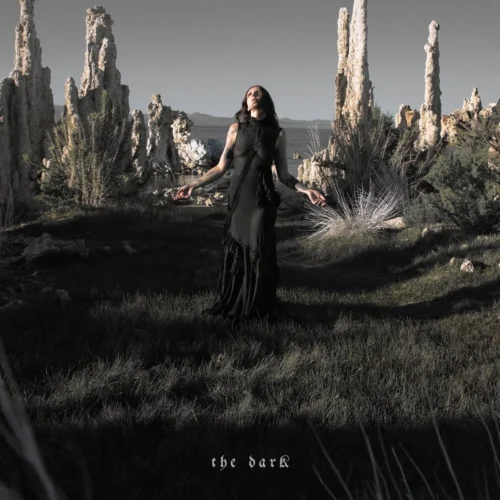 Chelsea Wolfe - The Dark (LP)