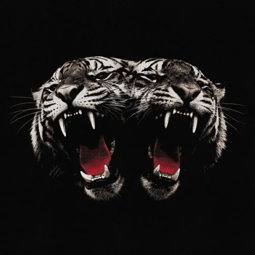 Royal Blood - Dead Company (LP)