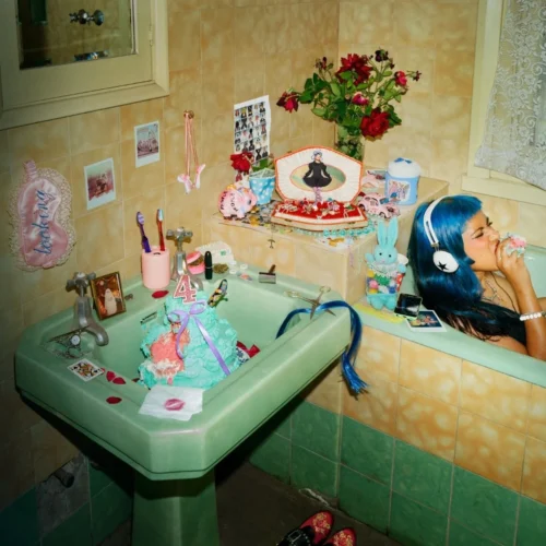 Ecca Vandal - Looking For People To Unfollow (LP)